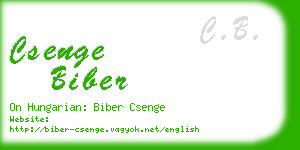 csenge biber business card